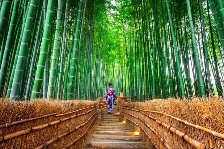 Sagano Bamboo forest